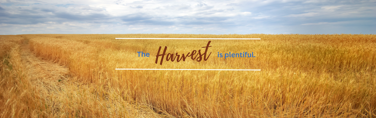 Patience is Required for a Plentiful Harvest