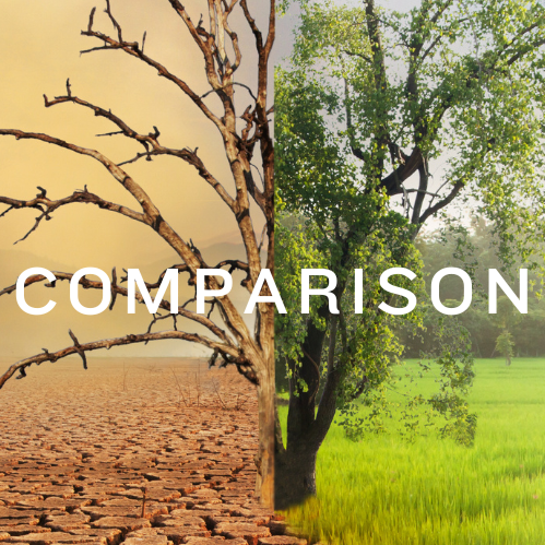 Are You Falling For the Comparison Trap?