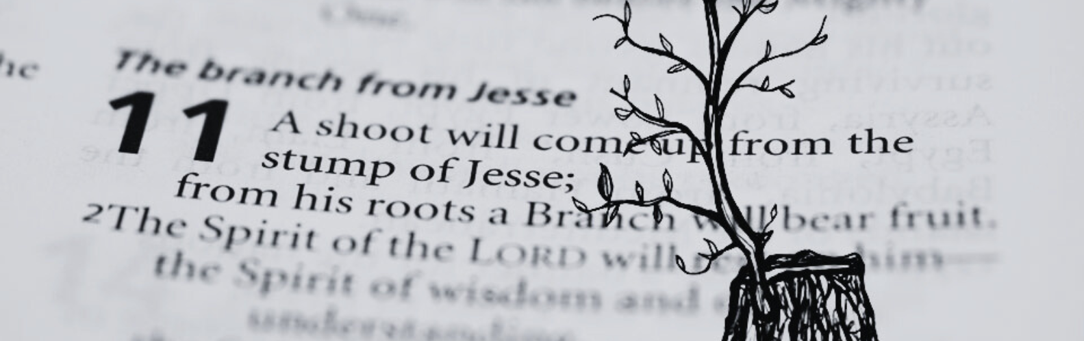 Why the House of Jesse Means Everything for Christianity