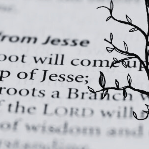 Why the House of Jesse Means Everything for Christianity