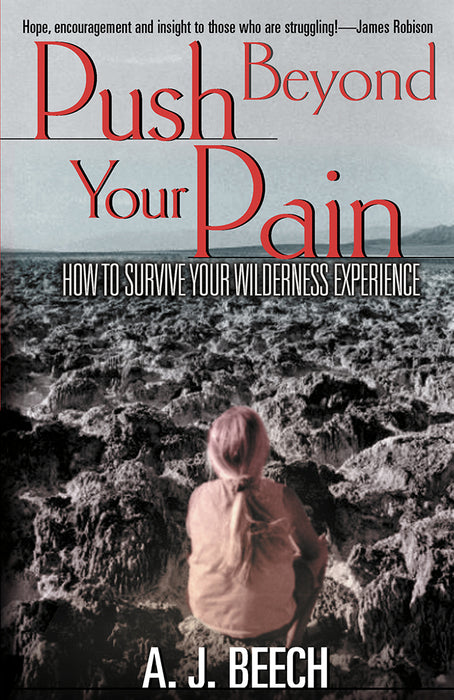 Push Beyond Your Pain: How to Survive Your Wilderness Experience