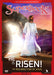 He Is Risen! : The Resurrection of Jesus